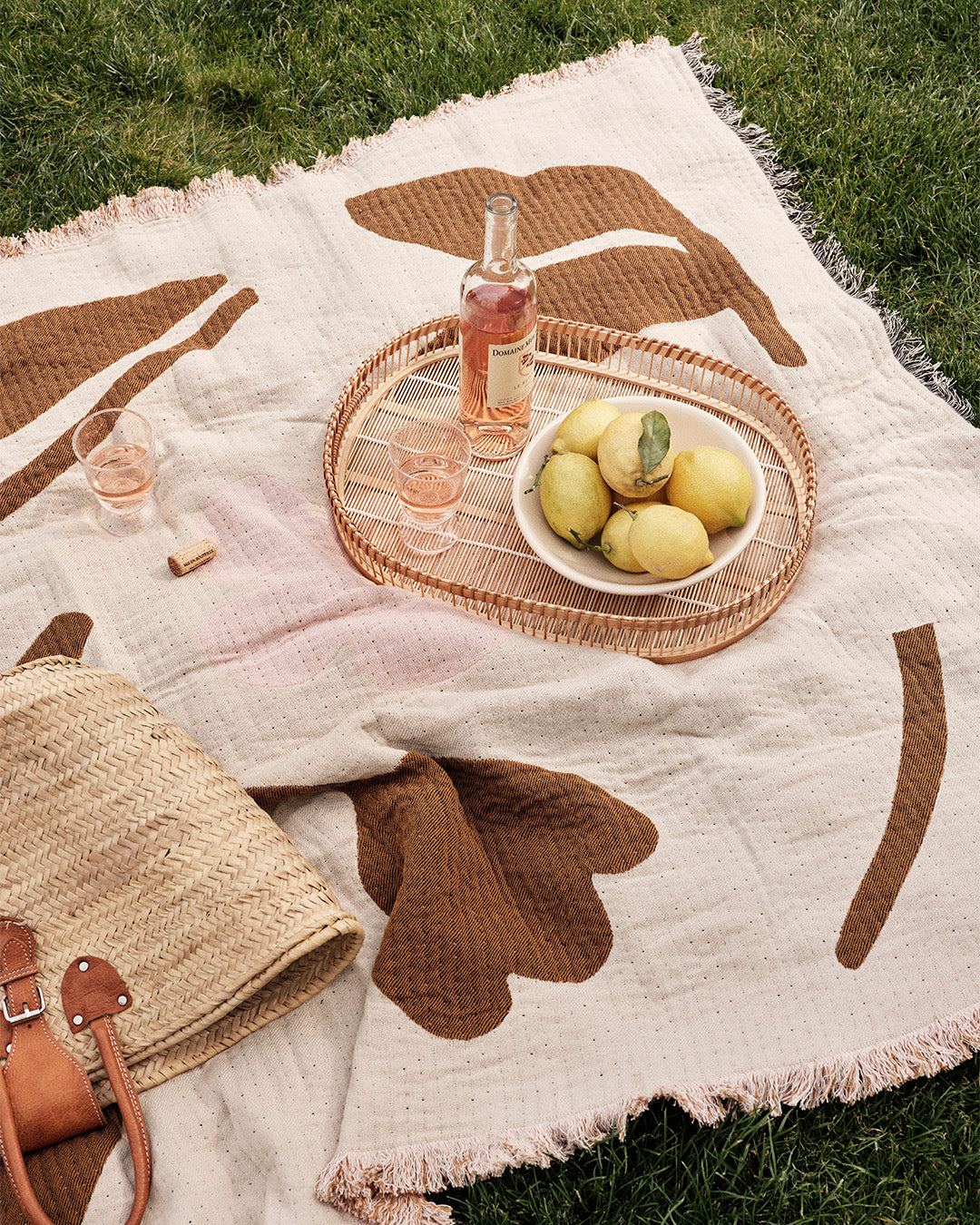 International Picnicdag
