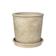 Rolf Planter