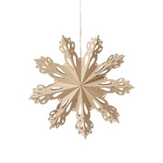 Snowflake Ornement étoile M