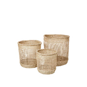 Zues Basket