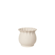 Alexa Flowerpot