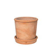Rolf Planter