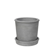 Rolf Planter
