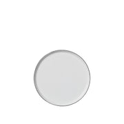 Salt Lunch plate