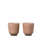 Miko Tasse