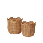 Lola Basket