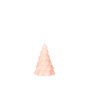 Pinus Christbaumkerze