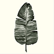 Leaf Paper Napkin