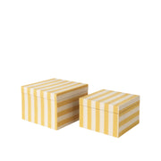Cleo Storage Box