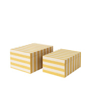 Cleo Storage Box
