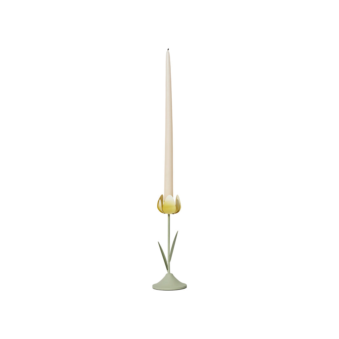 Tulip Candle Holder